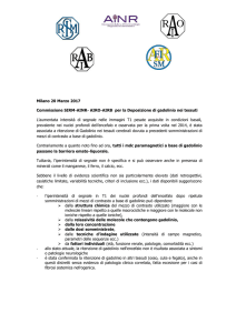 AIRO-AIRB per la Deposizione di gadolinio nei tessuti