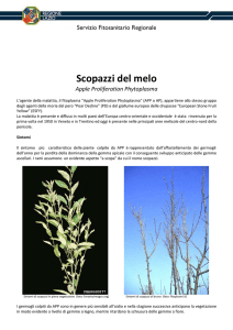 Opuscolo APP - Agricoltura