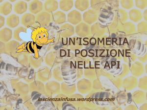 LE API e un`isomeria di posizione
