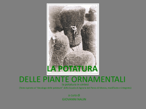 la potatura delle piante ornamentali