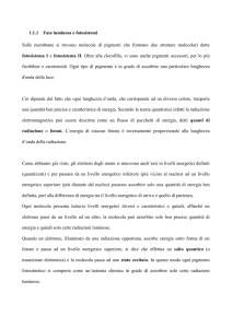 Fase luminosa e fotosistemi