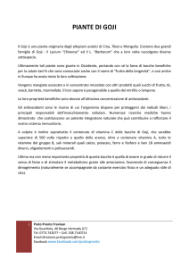 PIANTE DI GOJI - Prato pronto TREVISAN