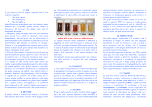 Scarica il PDF