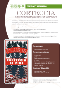 corteccia - Terricci Mechelli
