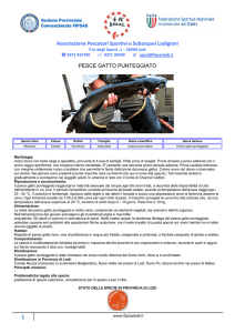 Associazione Pescatori Sportivi e Subacquei Lodigiani