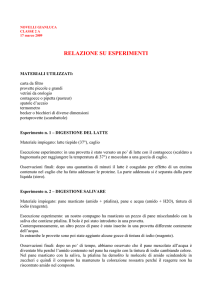 relazione su esperimenti