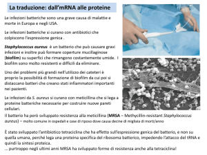 Lezione 14 File - e-Learning