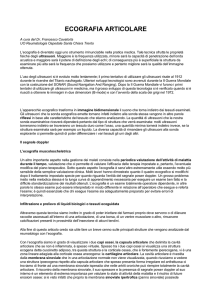 Scarica il stampabile documento in PDF