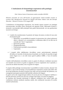 Federico Sciarra - Fondazione Paladini