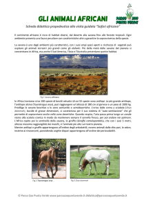 GLI ANIMALI AFRICANI - Parco Zoo Punta Verde