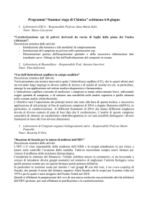 Programmi “Summer stage di Chimica” settimana 6