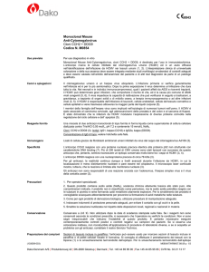 0843 Monoclonal Mouse Anti-Cytomegalovirus Cloni