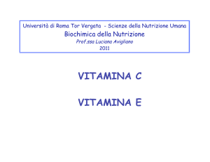 vitamina c vitamina e - Macroarea di Scienze