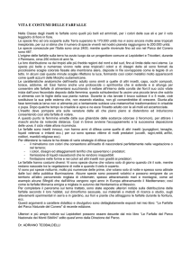 vita e costumi delle farfalle - Regione Marche