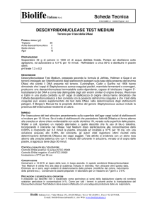 Scheda Tecnica