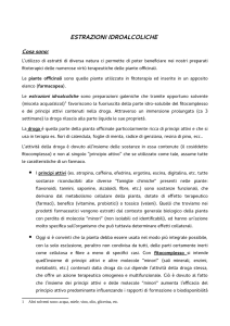 estrazioni idroalcoliche