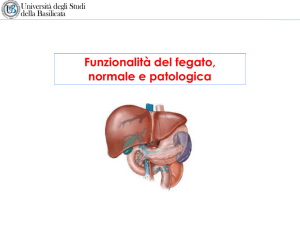 Diapositiva 1