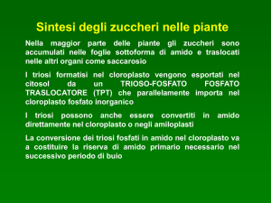 fosfato