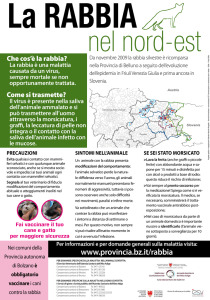 PDF La Rabbia nel nord
