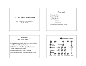 La citofluorimetria nella diagnostica delle malattie ematologiche