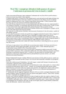 West Nile: i consigli per difendersi dalle punture di zanzara