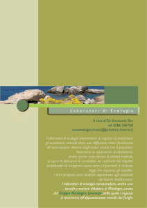 Scarica il pdf - Provincia di Livorno