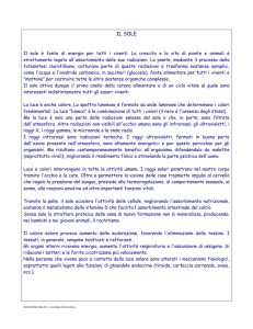 Scarica - Istituto Medici