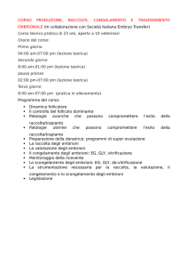 CORSO PRODUZIONE, RACCOLTA