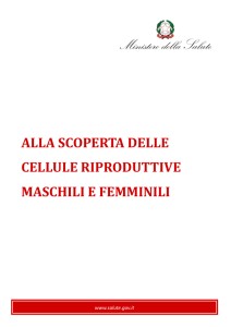 Alla scoperta delle cellule riproduttive maschili e femminili