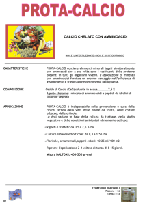 calcio chelato con amminoacidi