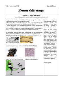 I batteri antinquinanti