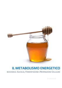 IL METABOLISMO ENERGETICO