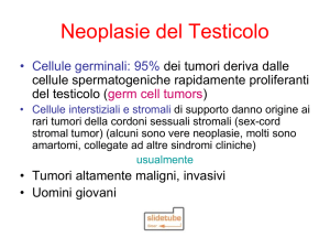 Neoplasie del Testicolo