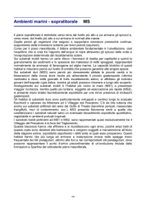 Diapositiva 1