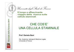 Diapositiva 1 - Università degli Studi di Firenze