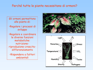 la maturazione dei frutti