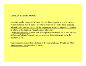costanza dei colori - Facoltà di Medicina e Psicologia