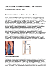 Leggi tutto - Registro Italiano Flebologi