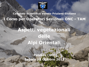Fasce di vegetazione delle Alpi Orientali