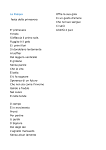 La Pasqua festa della primavera E` primavera Timido S`affaccia il