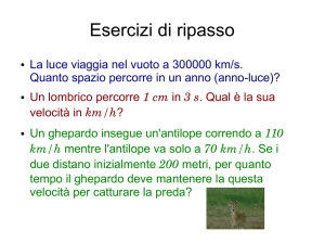 Esercizi di ripasso - Dipartimento di Fisica