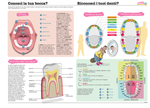 Scheda anatomia della bocca