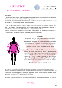 appendice - Microbioma Italiano