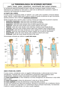 LA TERMINOLOGIA IN SCIENZE MOTORIE: parti, linee