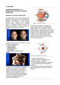 Lezione in PDF