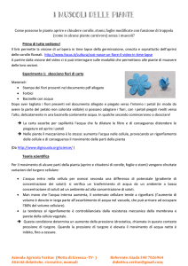 i muscoli delle piante