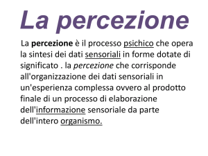 La percezione - Liceo Stella Maris