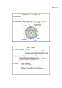 APPARATO RIPRODUTTORE2 [Compatibility Mode]