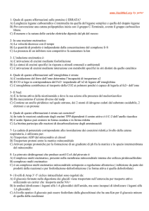 1- Quale di queste affermazioni sulle proteine è ERRATA?