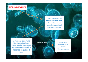 BIOLUMINESCENZA
